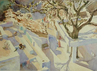 697 Dorpsleven, Rajasthan