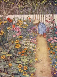 Kinderboek over tuinieren: Een kruidachtige border