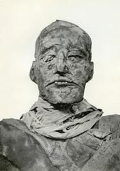 Hoofd van de mummie van Ramses III, Oude Egyptische farao van de 20e Dynastie, ca. 1156 v.Chr. 1926