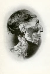 Hoofd van de mummie van Ramses II, Oude Egyptische farao van de 19e dynastie, ca. 1212 v.Chr., 1926