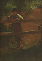 Een Landelijke Jongen