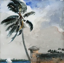 Een tropische bries, Nassau, 1889-90