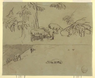 Tekening, Twee aanzichten van grazende schapen in een veld, waarschijnlijk 1875-78