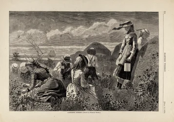 Bessen verzamelen, uit Harper