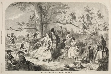 Picknicken in het Bos