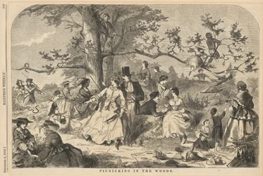 Picknicken in het Bos, uit Harper