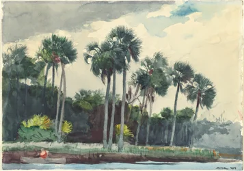 Rood Shirt, Homosassa, Florida