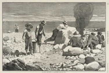 Schetsen aan zee - Een schelpdiermaaltijd
