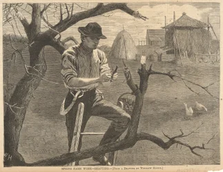 Lente boerderijwerk
