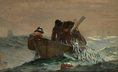 Het haringnet