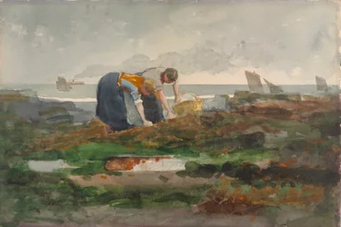 De mosselplukkers