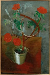 Rode bloemen