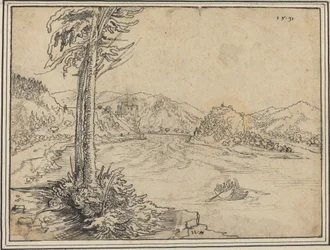 De stroomversnellingen van de Donau bij Grein