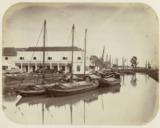 Grote Boom aan het Havenkanaal te Batavia