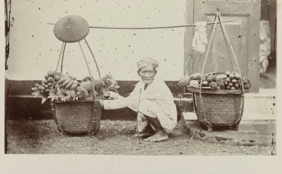 Javaanse drager met vruchten