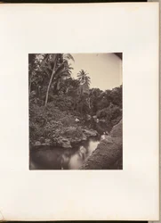[Rivier bij Kupang].