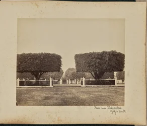 Bomen in de buurt van Waterpaleis. Djokjakarta