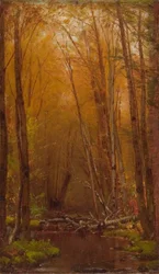 De berken van de Catskills