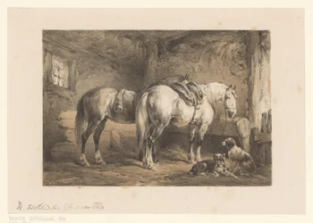 Twee paarden en honden in een stal