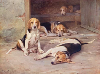 Puppydagen
