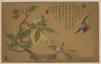 Vogel, Fruit en Bloemen, Qing-dynastie, 1741