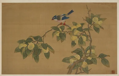 Vogel en Fruit