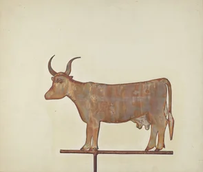 Koe Windwijzer