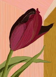 De hoek van de karmozijnrode tulp