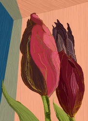Levendige, moderne tulpen