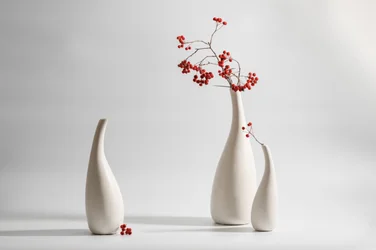 Elegante vazen met rode bessen