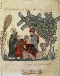Abu Zayd, Al-Harrith, een liggende kameel en een figuur