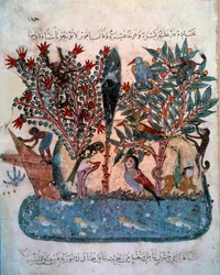 Het mysterieuze eiland bevolkt met vreemde dieren. Miniatuur uit de "Maqamat" (Seances) door Abu Mohammed al-Kasim ibn Ali Hariri, verlucht door Yahya Mahmud al-Wasiti in 1237, Parijs, B.N.