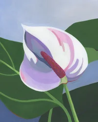 Elegante witte anthurium
