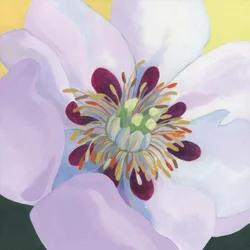 Levendige magnoliabloemblaadjes