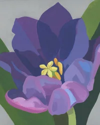 Levendige paarse bloem