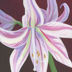 Levendige gestreepte amaryllis