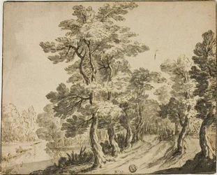 Weg door loofbomen bij beek