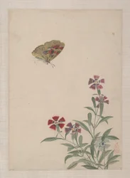 Vogels, insecten en bloemen