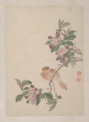Vogels, insecten en bloemen