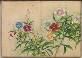 Bureaualbum: Bloemen- en vogel schilderijen, 18e eeuw