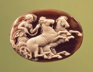 Camee van Nike in een wagen