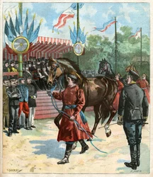 Paardenshow
