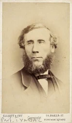 John Tyndall, Ierse natuurkundige, ca. 1875
