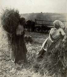 De Oogsters, circa 1900