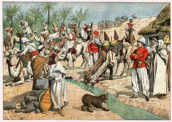 Oase in de Sahara