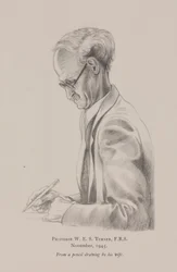 Professor W E S Turner, november