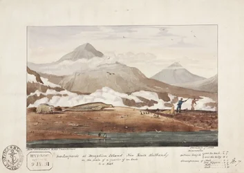 Zee-luipaarden op Deception Island, Nieuw-Zuid-Shetland, 7 januari