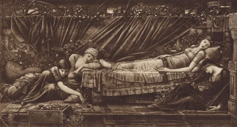 De Schone Slaapster