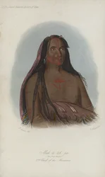 Mah-to-toh-pa, De Vier Beren, 2e Hoofdman van de Mandans (aquatint)