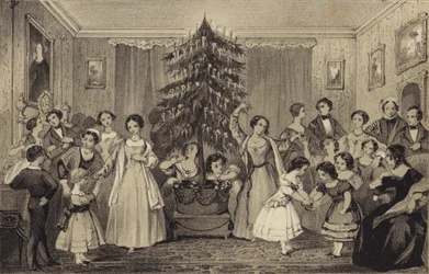 De kerstboom